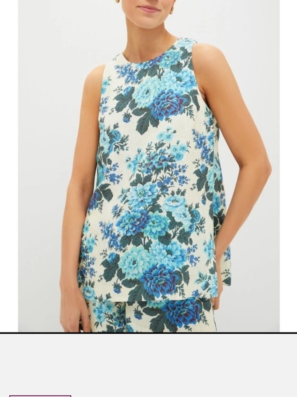 Tuckernuck Blue Floral Sleeveless Camisole on Cream